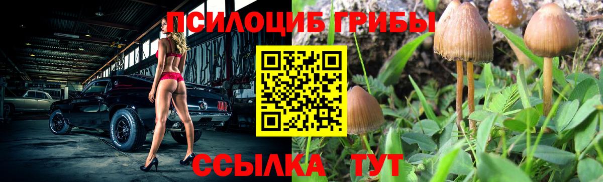Старая Русса  Галлюциногенные грибы MAGIC MUSHROOMS  купить   Вход с VPN  Псилоцибиновые грибы Psilocybe 